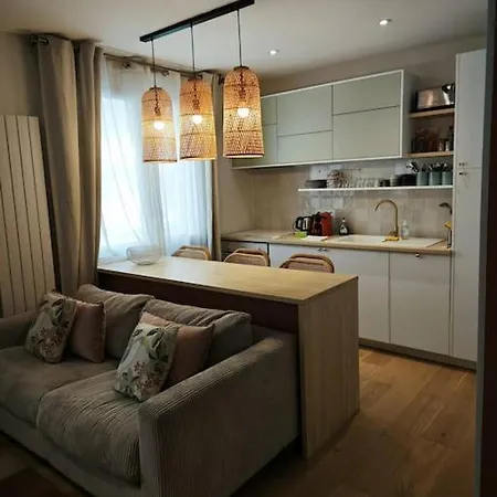 T2 Renove, Parc De La Tete D'or, 6 * Lyon